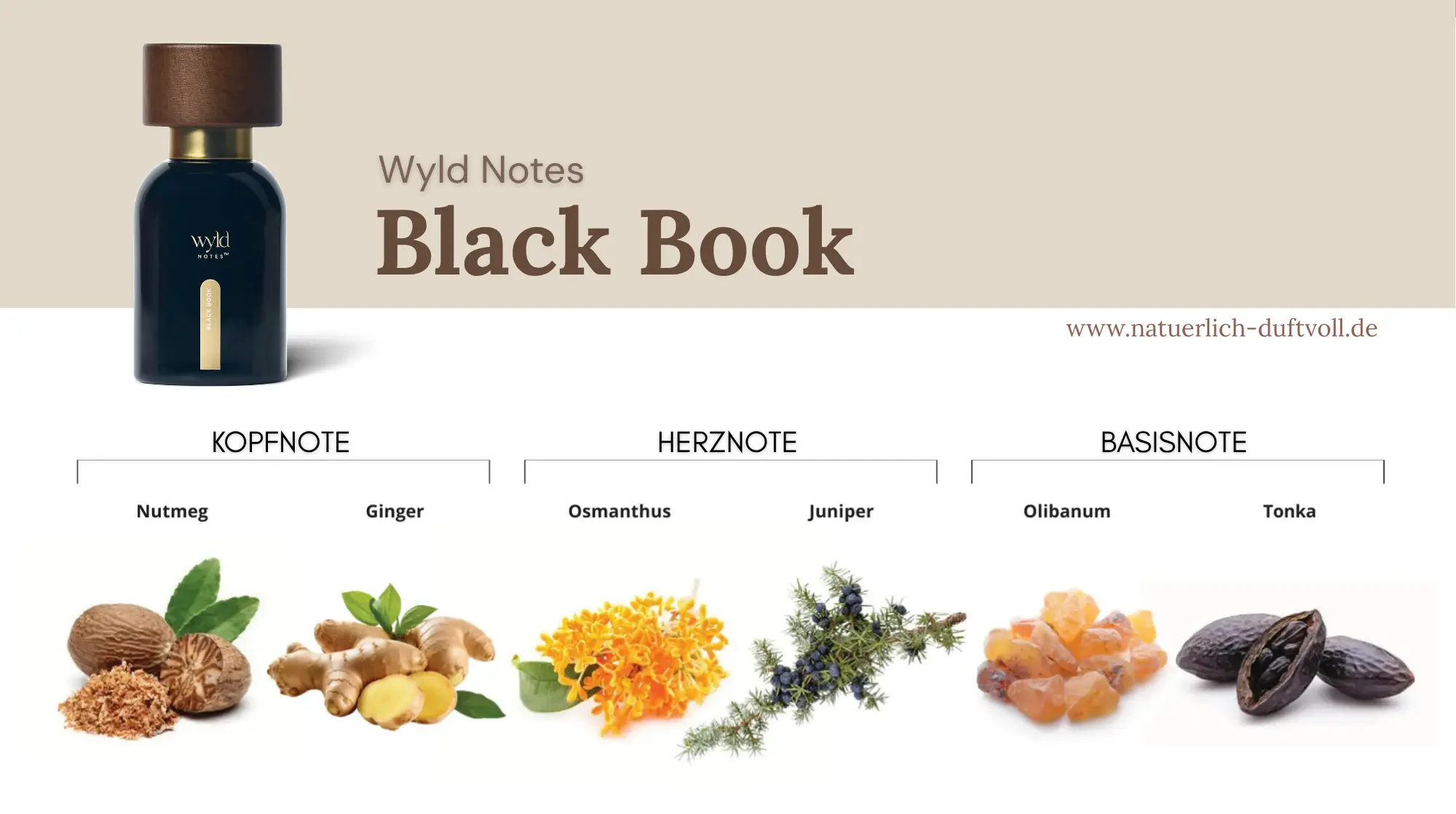 Übersicht der Duftnoten von Black Book